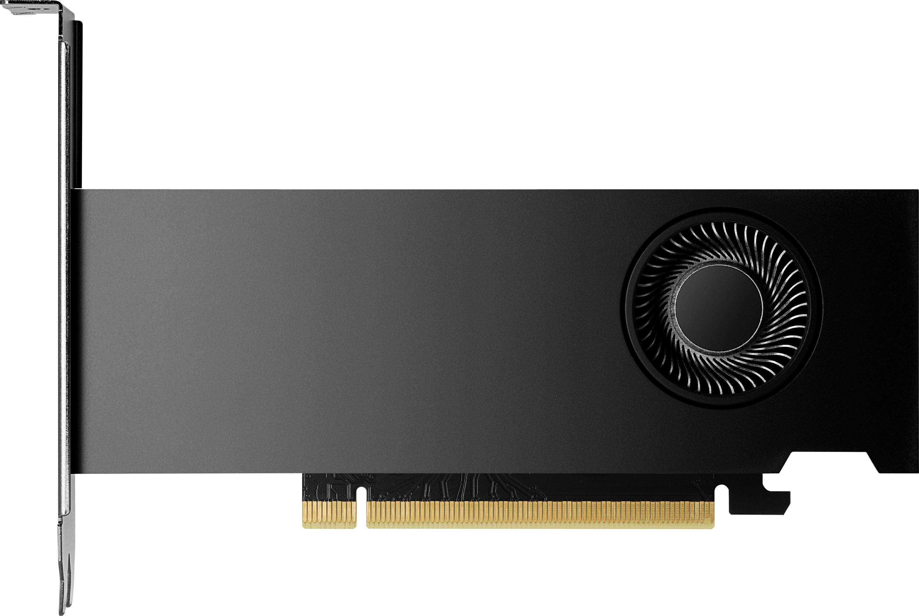 HP - NVIDIA RTX 2000 Ada - Grafikkarten - NVIDIA RTX 2000 Ada