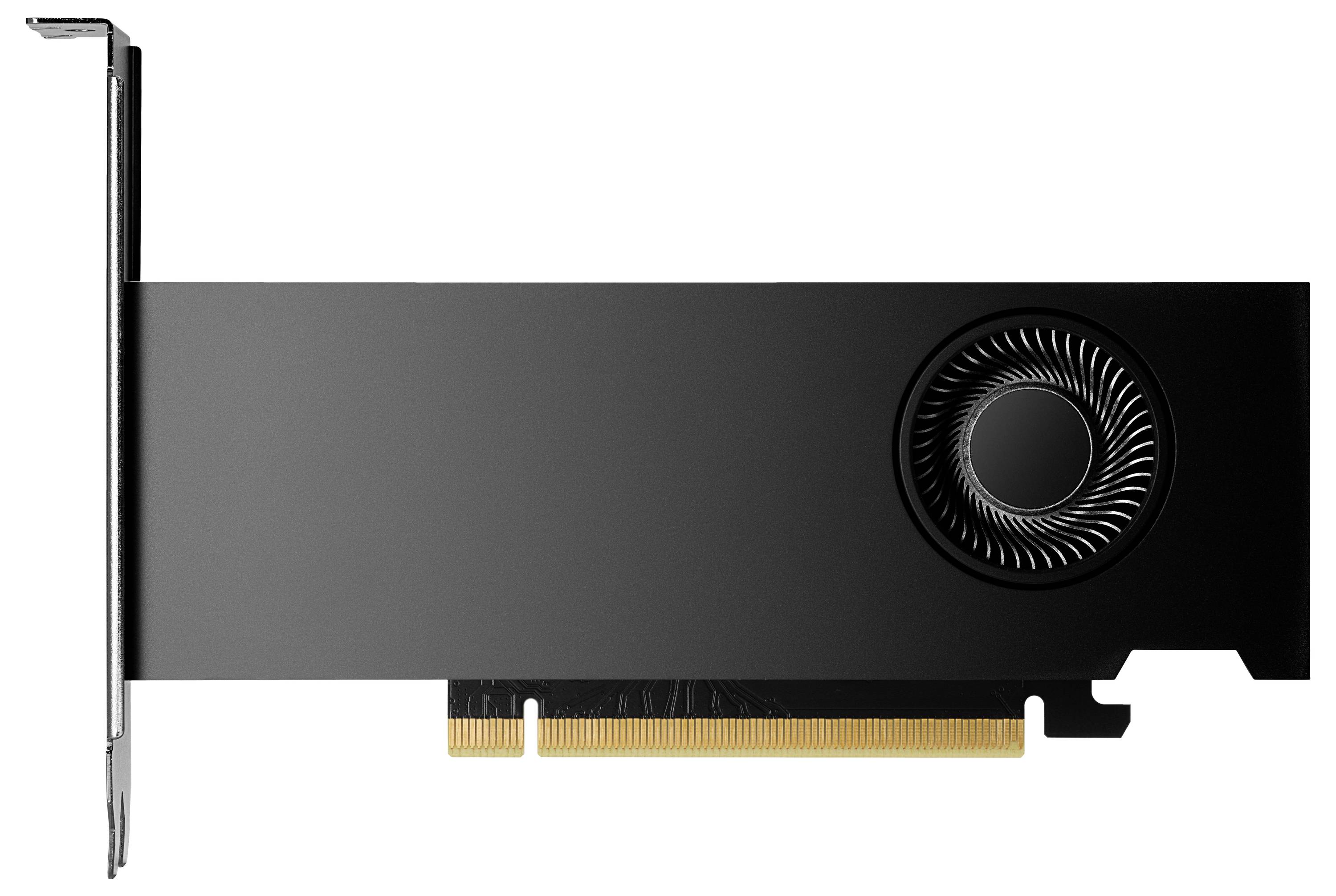HP - NVIDIA RTX 2000 Ada - Grafikkarten - NVIDIA RTX 2000 Ada
