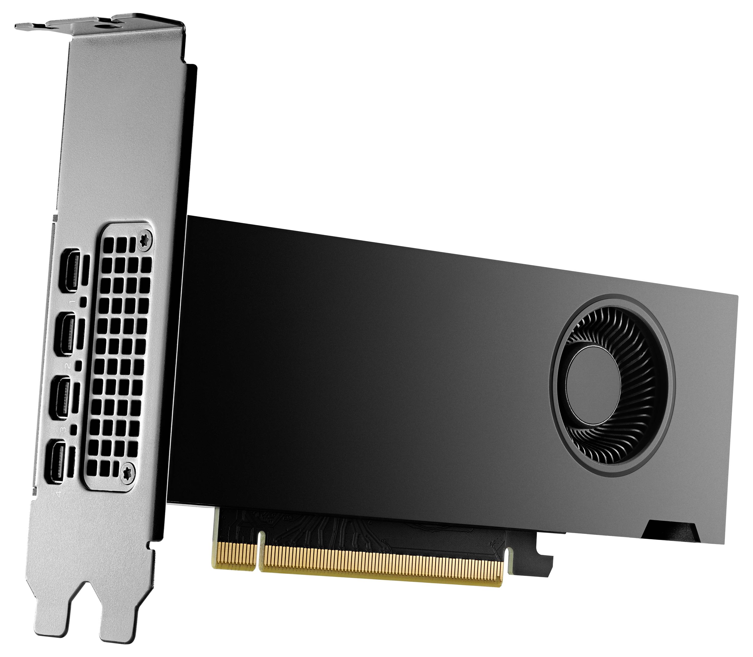 HP - NVIDIA RTX 2000 Ada - Grafikkarten - NVIDIA RTX 2000 Ada