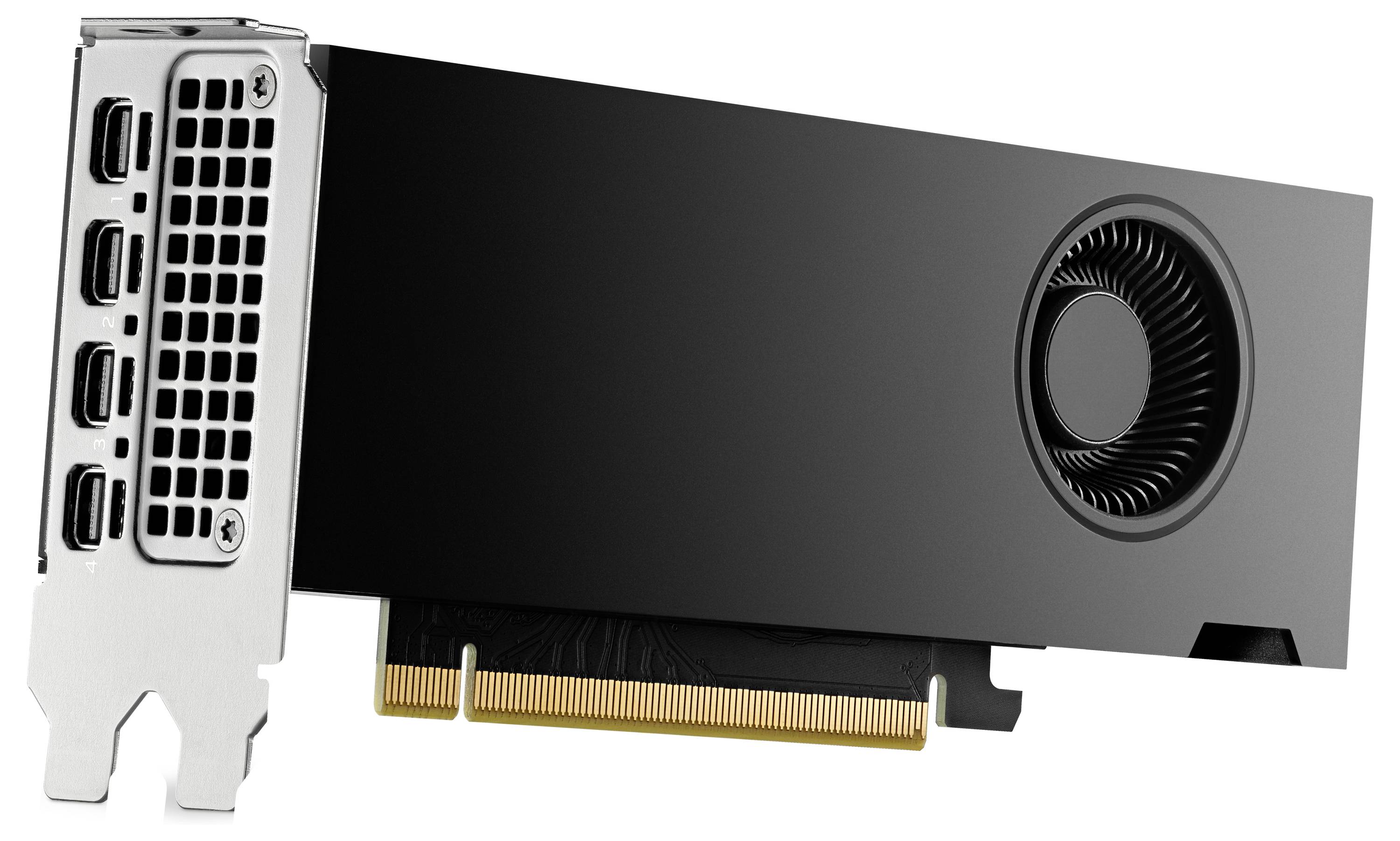 HP - NVIDIA RTX 2000 Ada - Grafikkarten - NVIDIA RTX 2000 Ada