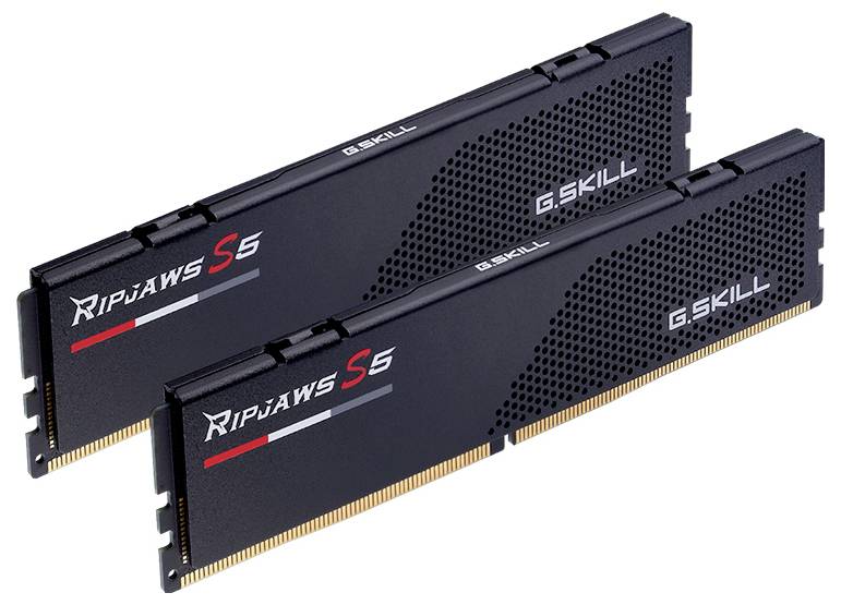 G.Skill F5-6000J3036F16GX2-RS5K PC-Arbeitsspeicher Modul DDR5 32GB 2 x 16GB 6000MHz 288pin DIMM F5-6000J3036F16GX2-RS5K