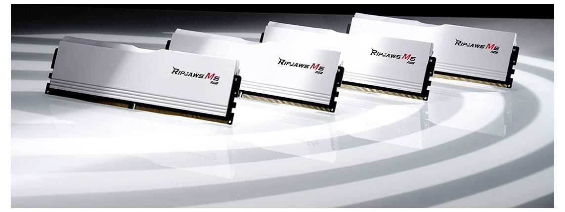 G.Skill F5-6000J3636F16GX2-RM5RW PC-Arbeitsspeicher Modul DDR5 32GB 2 x 16GB 6000MHz 288pin DIMM F5-6000J3636F16GX2-RM5RW