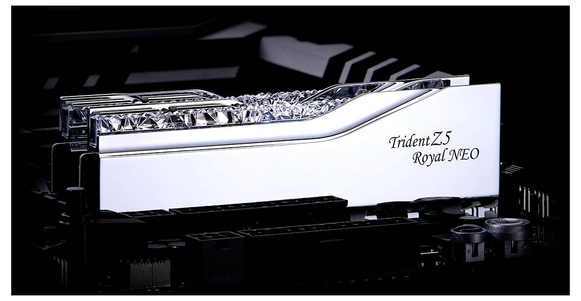 G.Skill F5-8000J4048G24GX2-TR5NS PC-Arbeitsspeicher Modul DDR5 48GB 2 x 24GB 8000MHz 288pin DIMM F5-8000J4048G24GX2-TR5NS