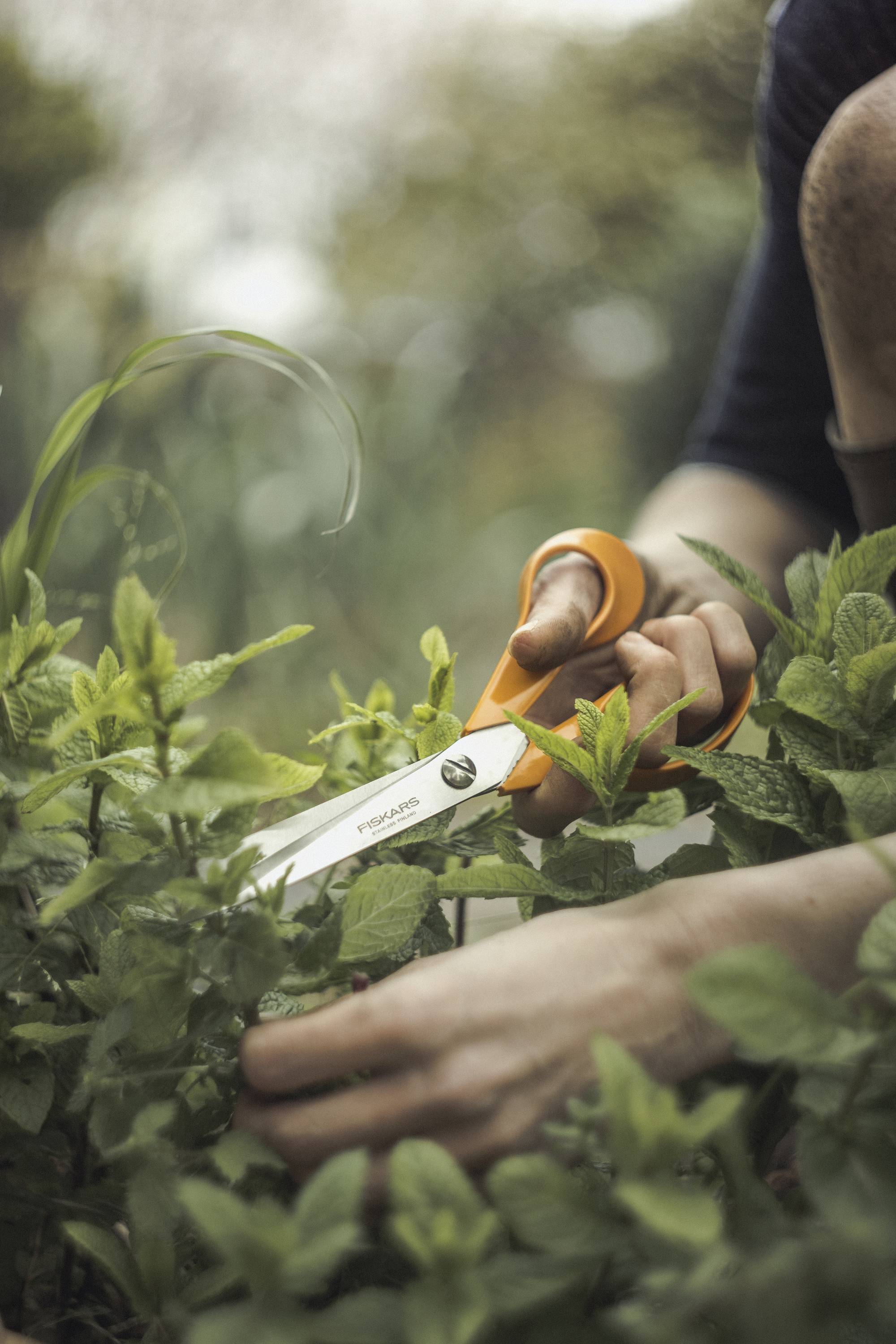 Fiskars 1000815 Universalschere Rechtshänder 210 mm Orange