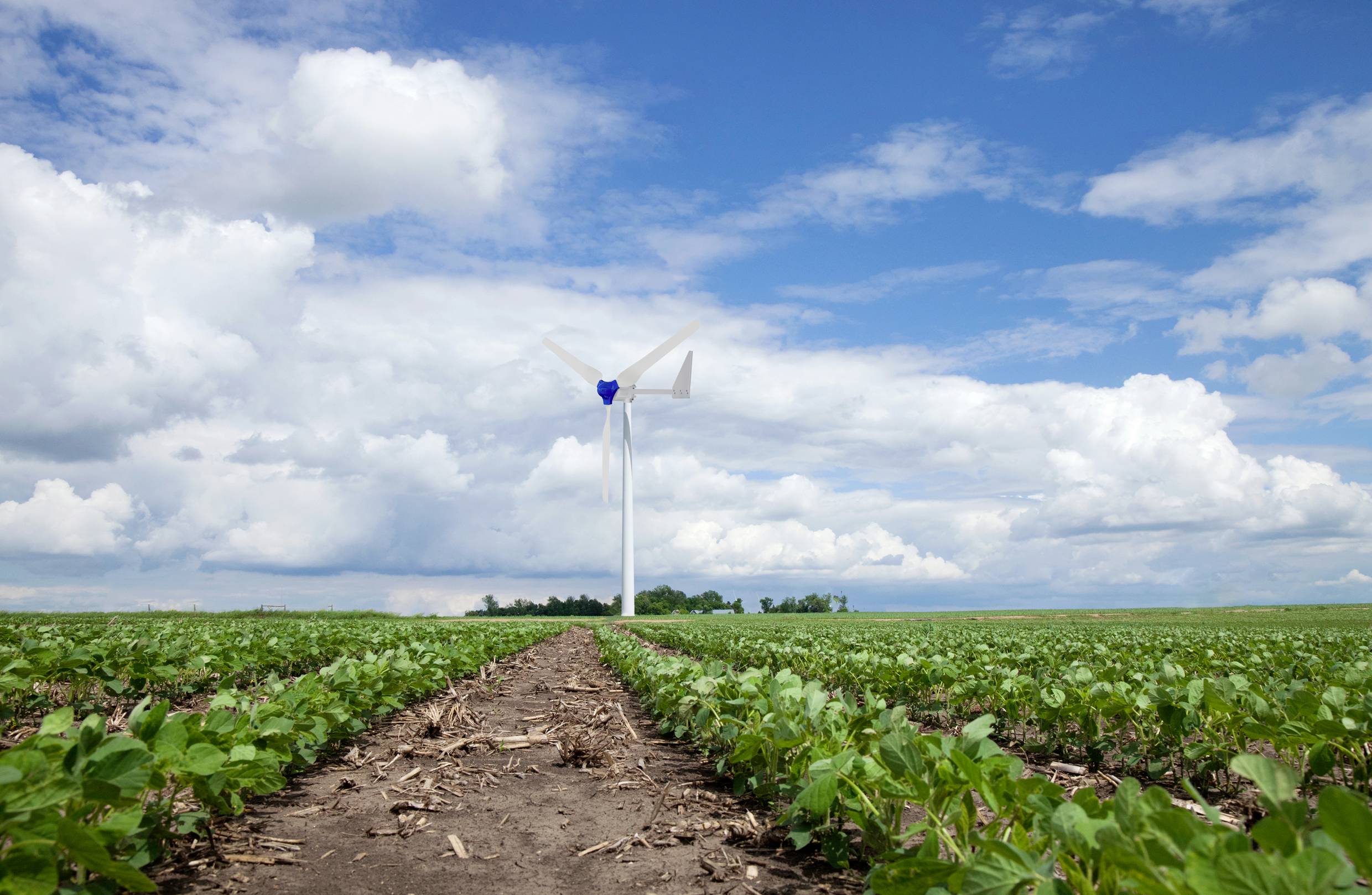 OLU FN500W 48V+FN 500W+OMWS35A48MP+OL-BRK05-48V Windgenerator 48 V/DC