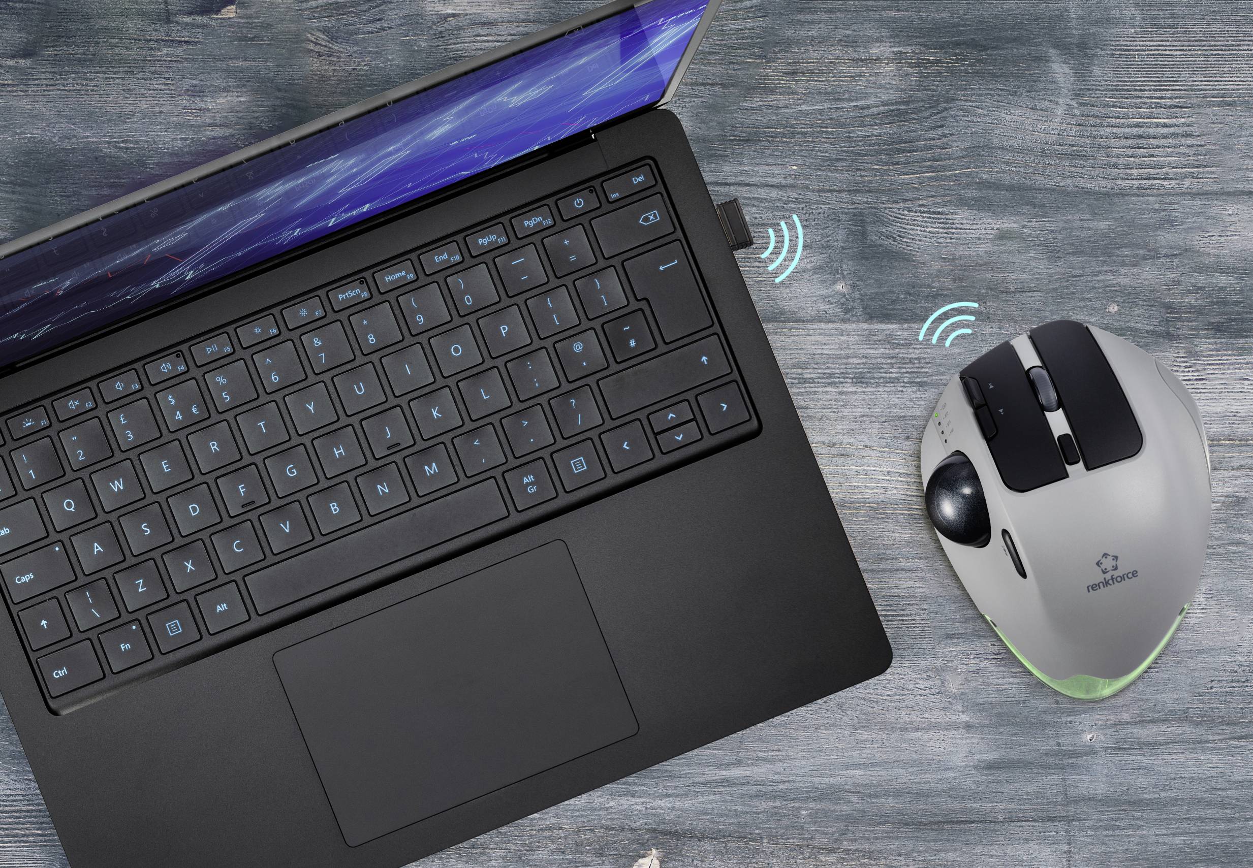 Renkforce RF-WLEM-500 Trackball Kabellos, Funk, Bluetooth® Optisch Grau, Schwarz 7 Tasten 400 dpi, 800 dpi, 1600 dpi, 2400 dpi