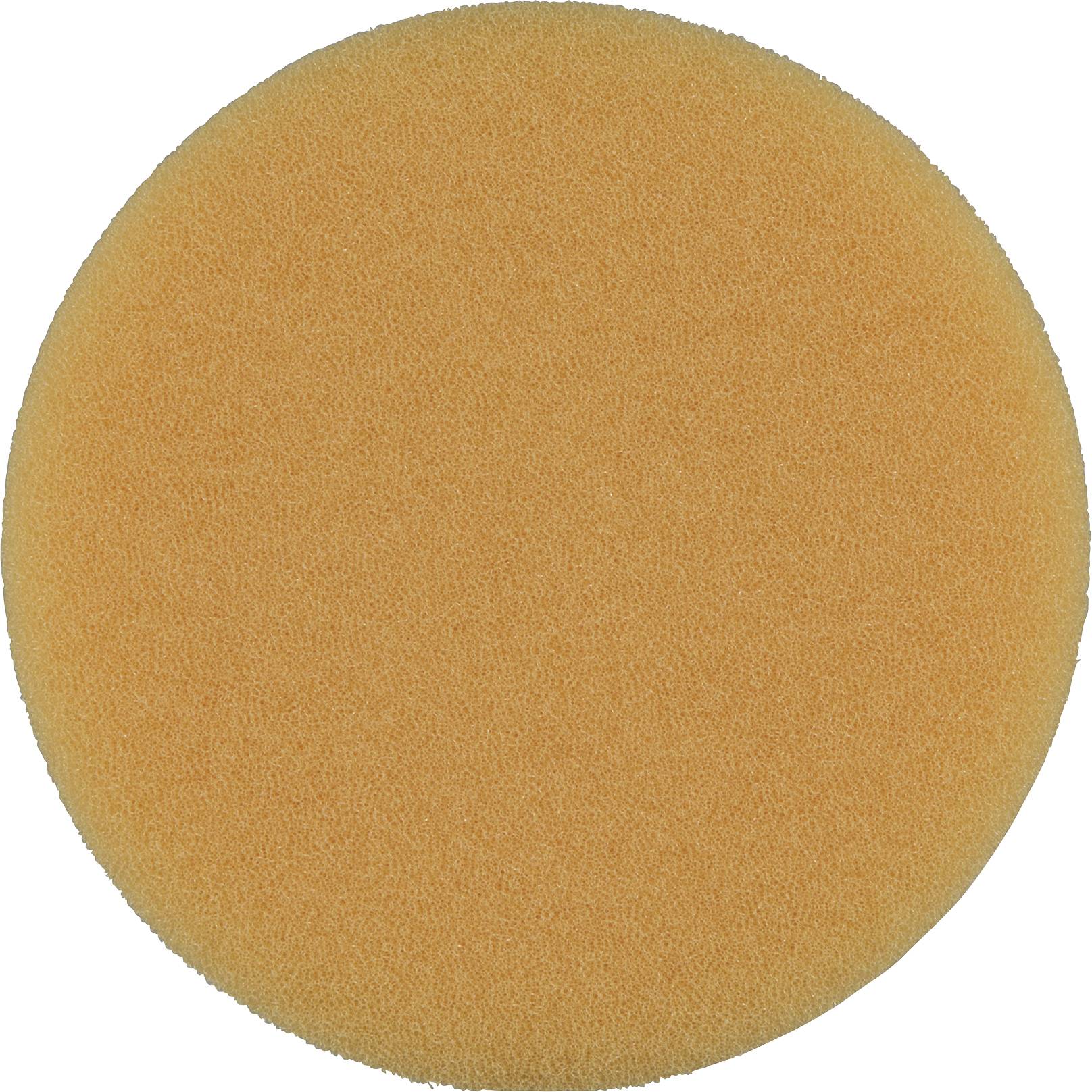 Ein runder, orangefarbiger Schwamm mit feinporiger Textur, vor weißem Hintergrund.