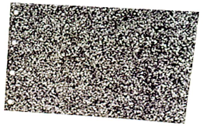 Makita 424057-1 Schleifplatte