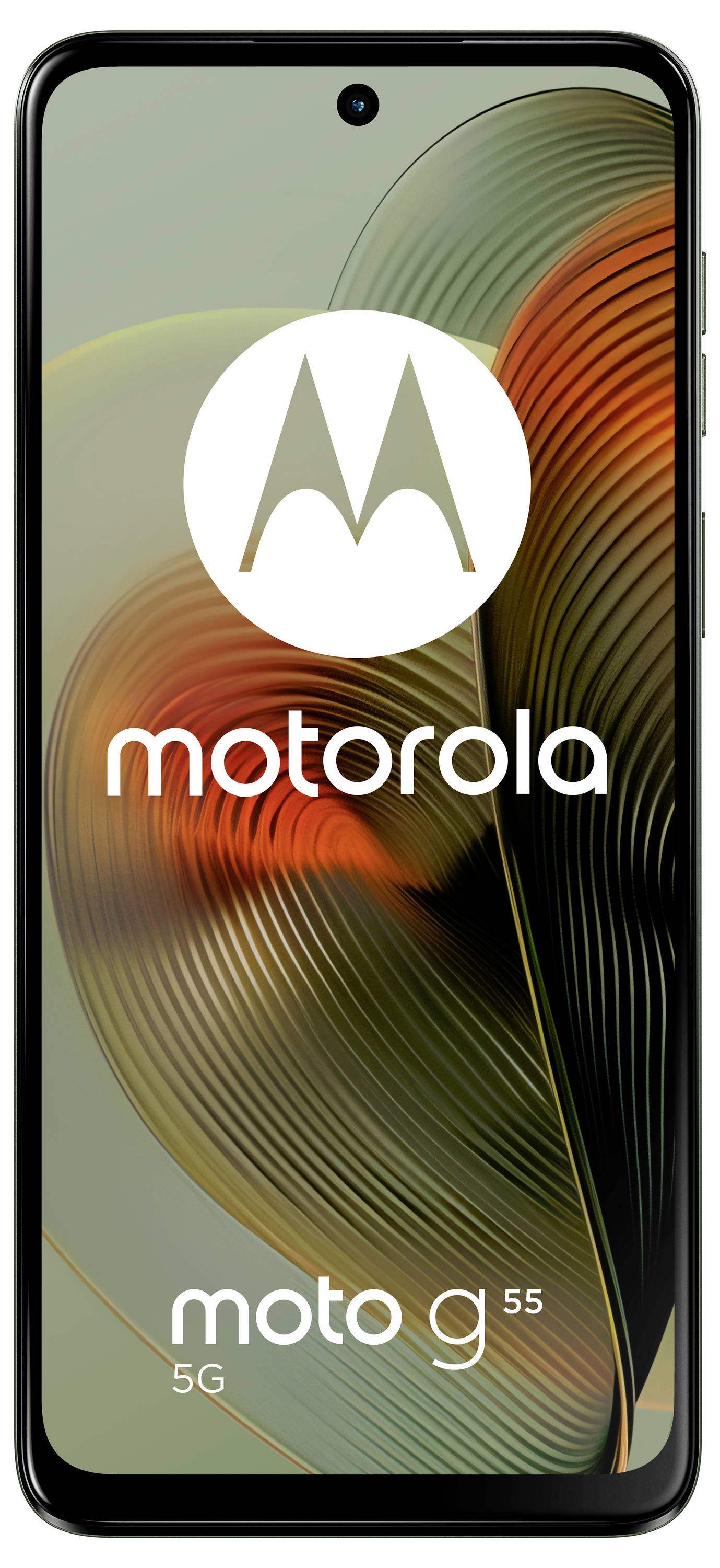 Motorola MOTO G55 256GB Grün EEK B (A - G) 16.5cm (6.49 Zoll) Smartphone
