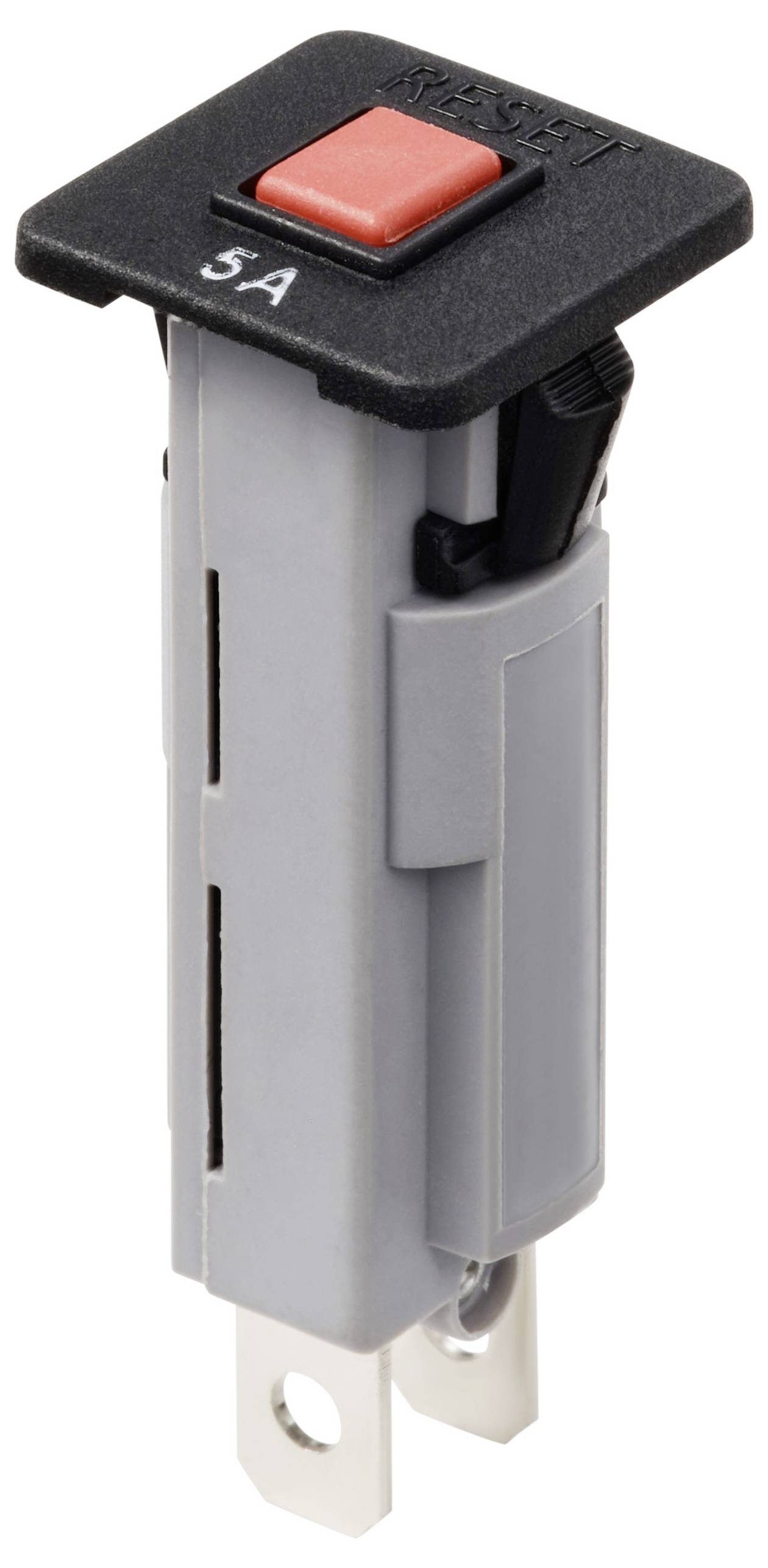 Ein grauer, rechteckiger 5 Ampere-Sicherungshalter mit rotem Druckknopf oben.