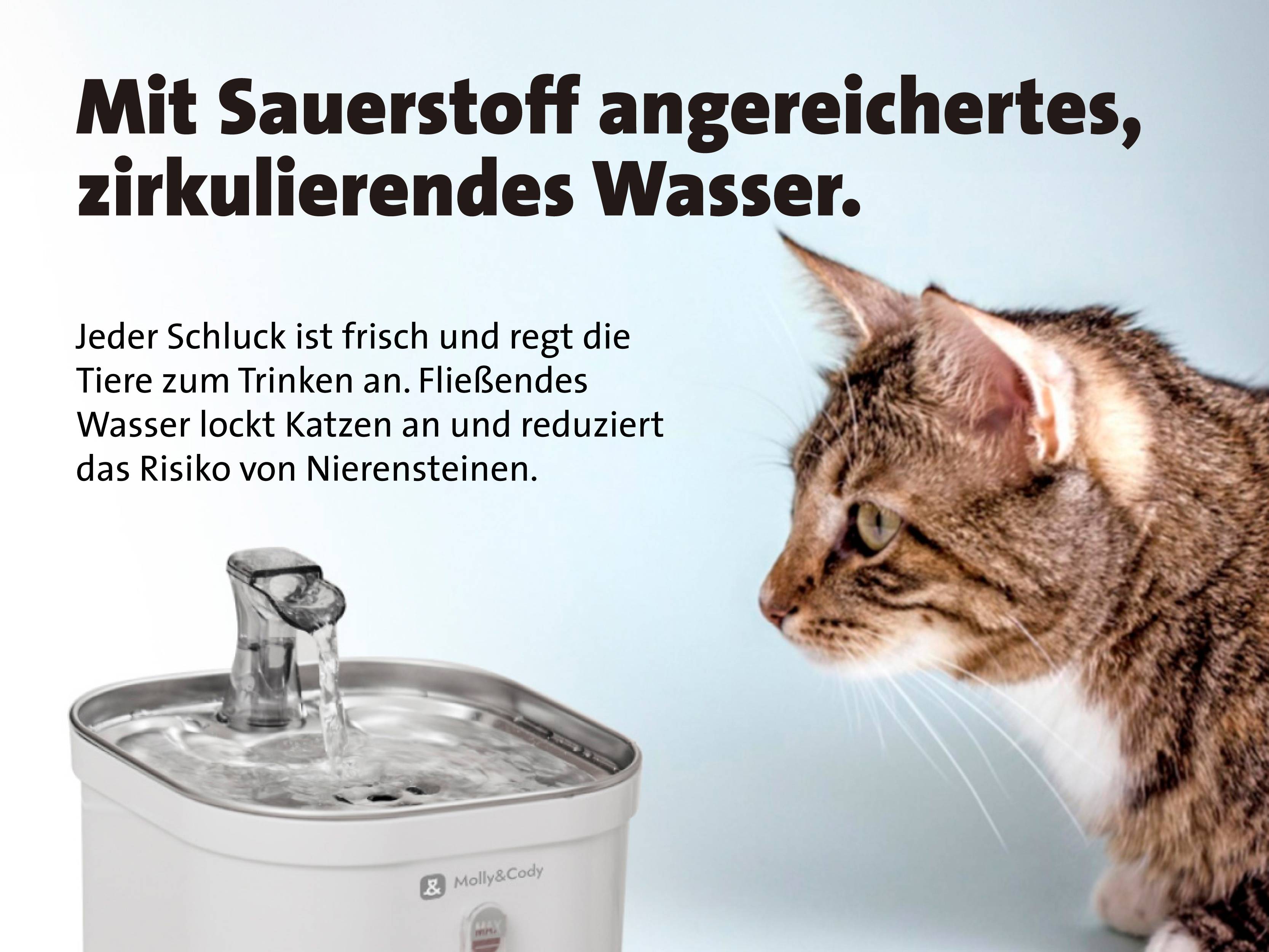 Molly & Cody Trinkbrunnen SPRING 2 l Katze, Hund Weiß Wasserstandsanzeige, 3fach-Filtersystem, Gerä