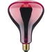 Paulmann Infrarotlampe E27 150 W (Ø x L) 125 mm x 173 mm 230 V 1 St. Paulmann Infrarotlampe E27 150 W (Ø x L) 125 mm x 173 mm 230 V 1 St.
