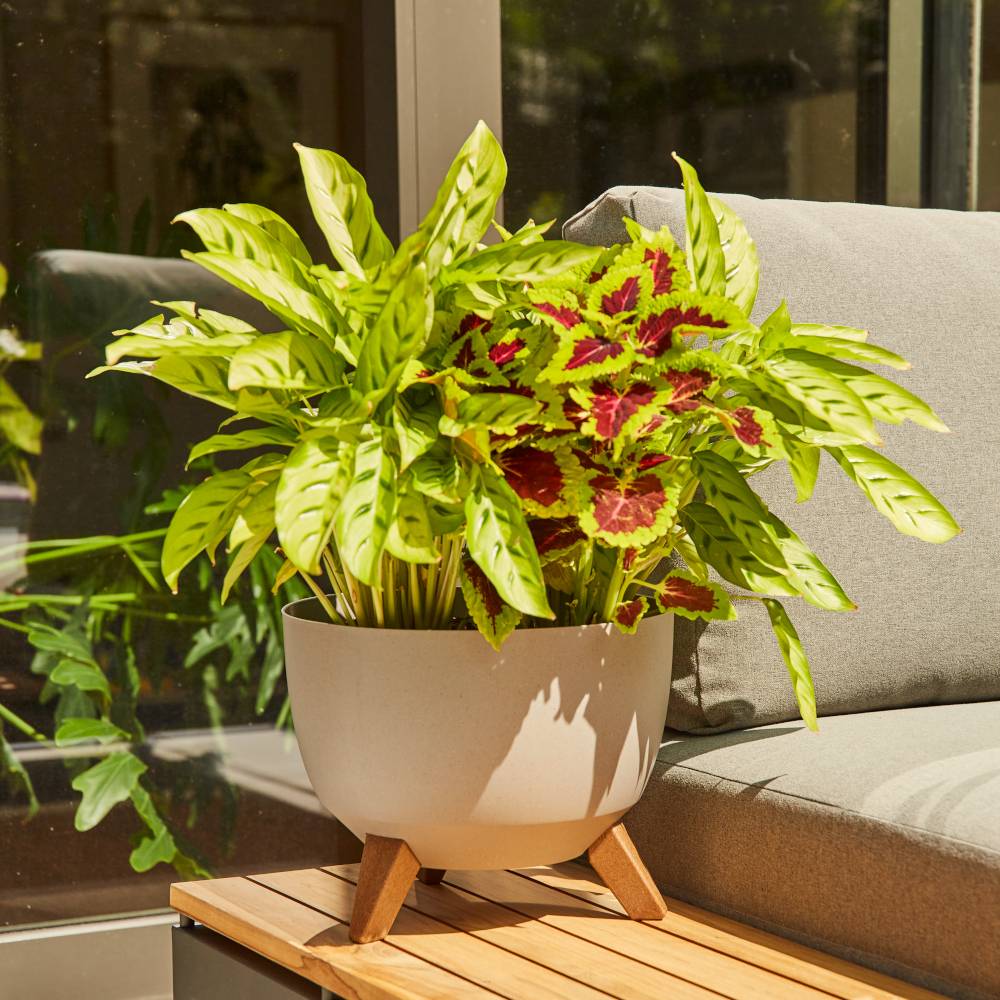 Siena Garden OSLO 921_05Pflanzgefäß Polypropylen Creme