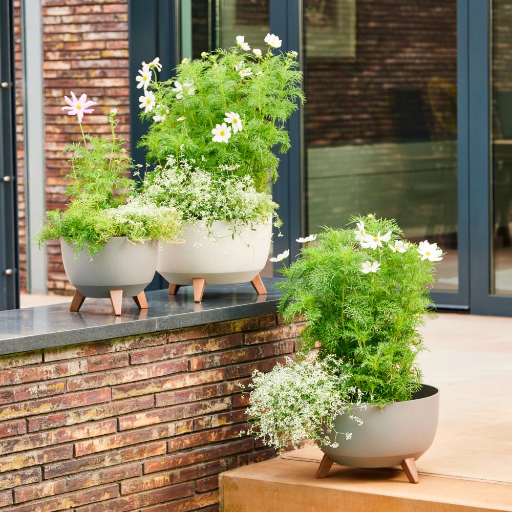 Siena Garden OSLO 921_05Pflanzgefäß Polypropylen Creme