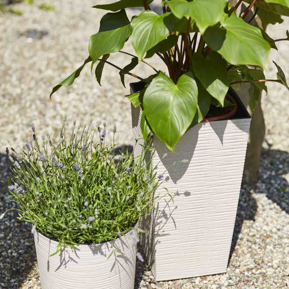 Siena Garden LOCON GROOVE 843_05Pflanzgefäß Polypropylen Creme