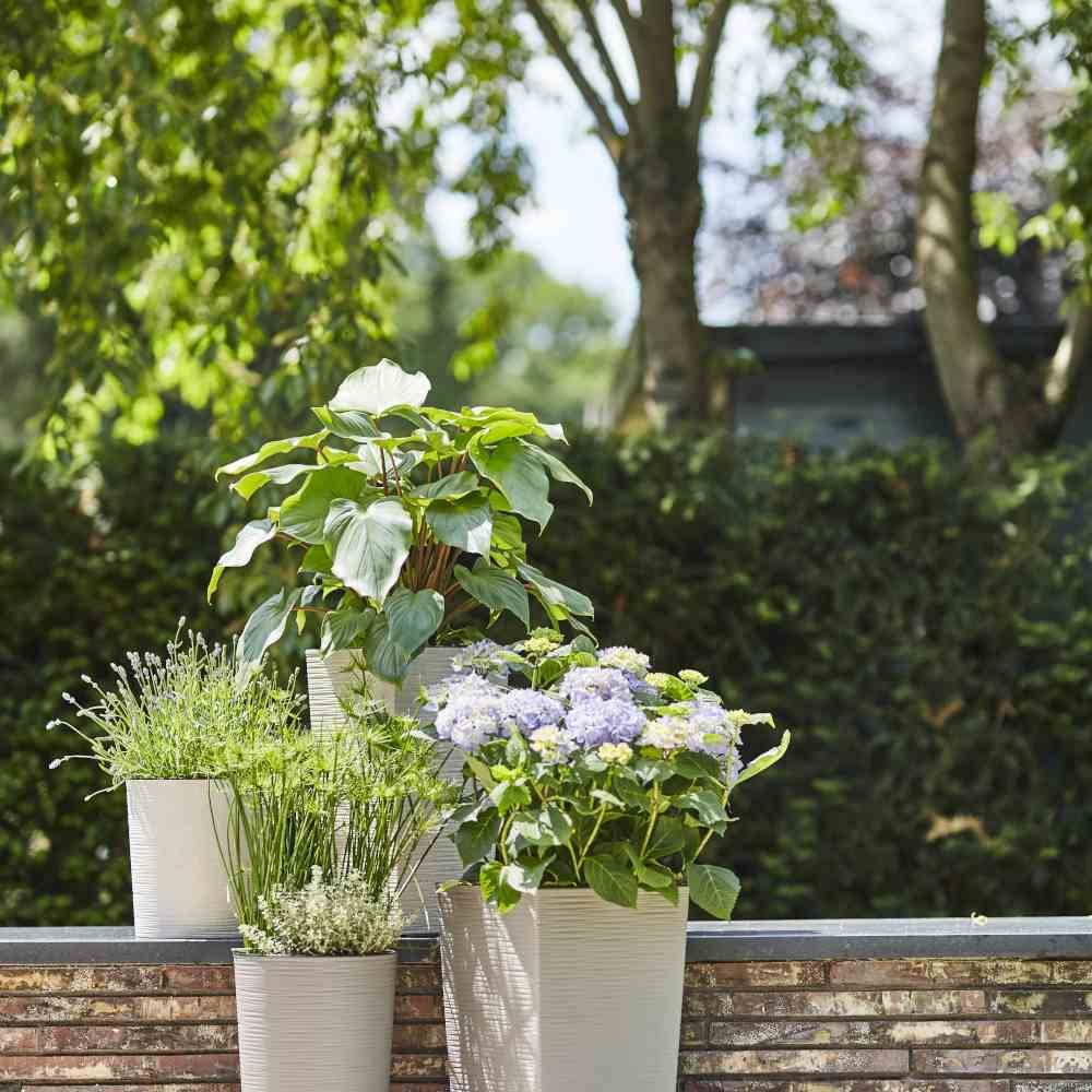 Siena Garden LOCON GROOVE 843_05Pflanzgefäß Polypropylen Creme