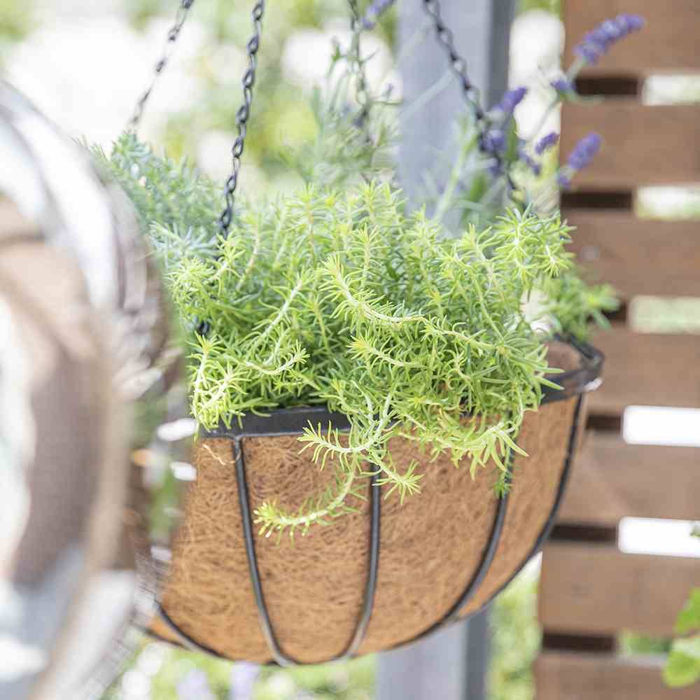 Siena Garden Wrought J58085 Hängeampel Stahl, Kokos Schwarz, Natur