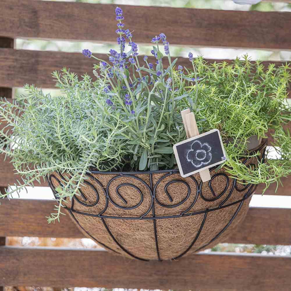 Siena Garden Scroll J58092 Wandampel Stahl, Kokos Schwarz, Natur