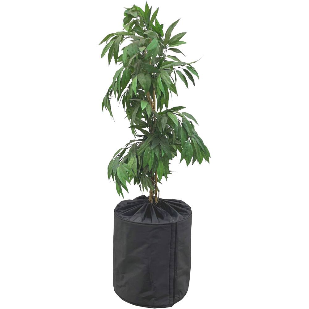 Ein grüner Baum in einem schwarzen Stoffbehälter.
