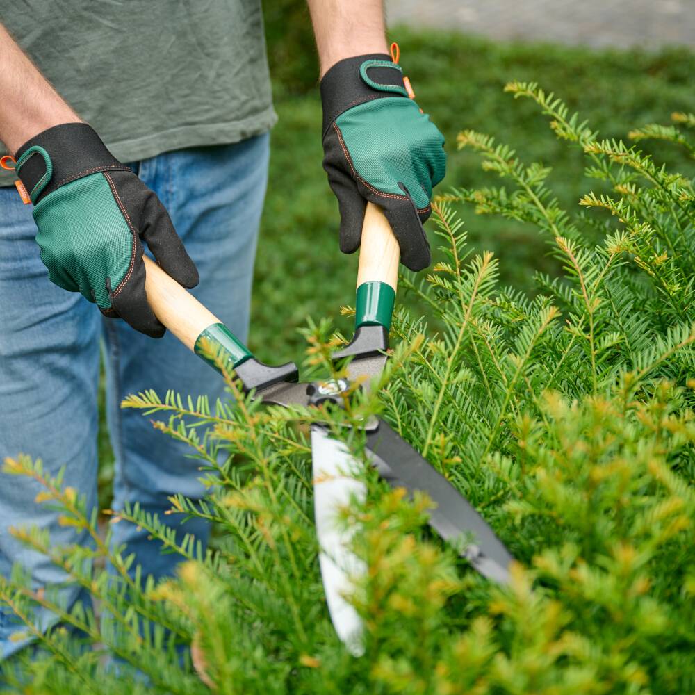 Siena Garden T94286 Gartenhandschuh Größe (Handschuhe): 7, S 1 Paar