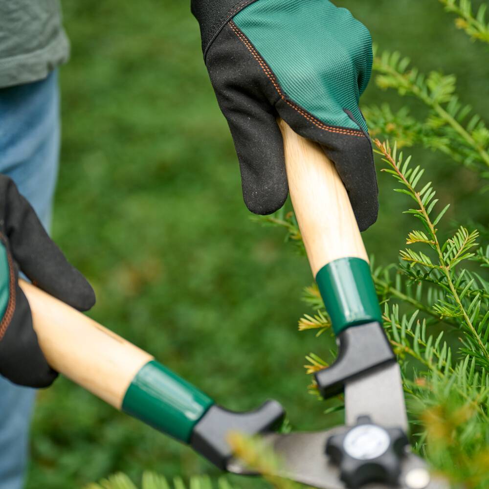 Siena Garden T94288 Gartenhandschuh Größe (Handschuhe): 9, L 1 Paar