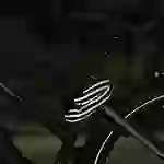 FISCHER FAHRRAD Kettenschloss Schwarz reflektierende Ummantelung Zahlenschloss FISCHER FAHRRAD Kettenschloss Schwarz reflektierende Ummantelung Zahlenschloss