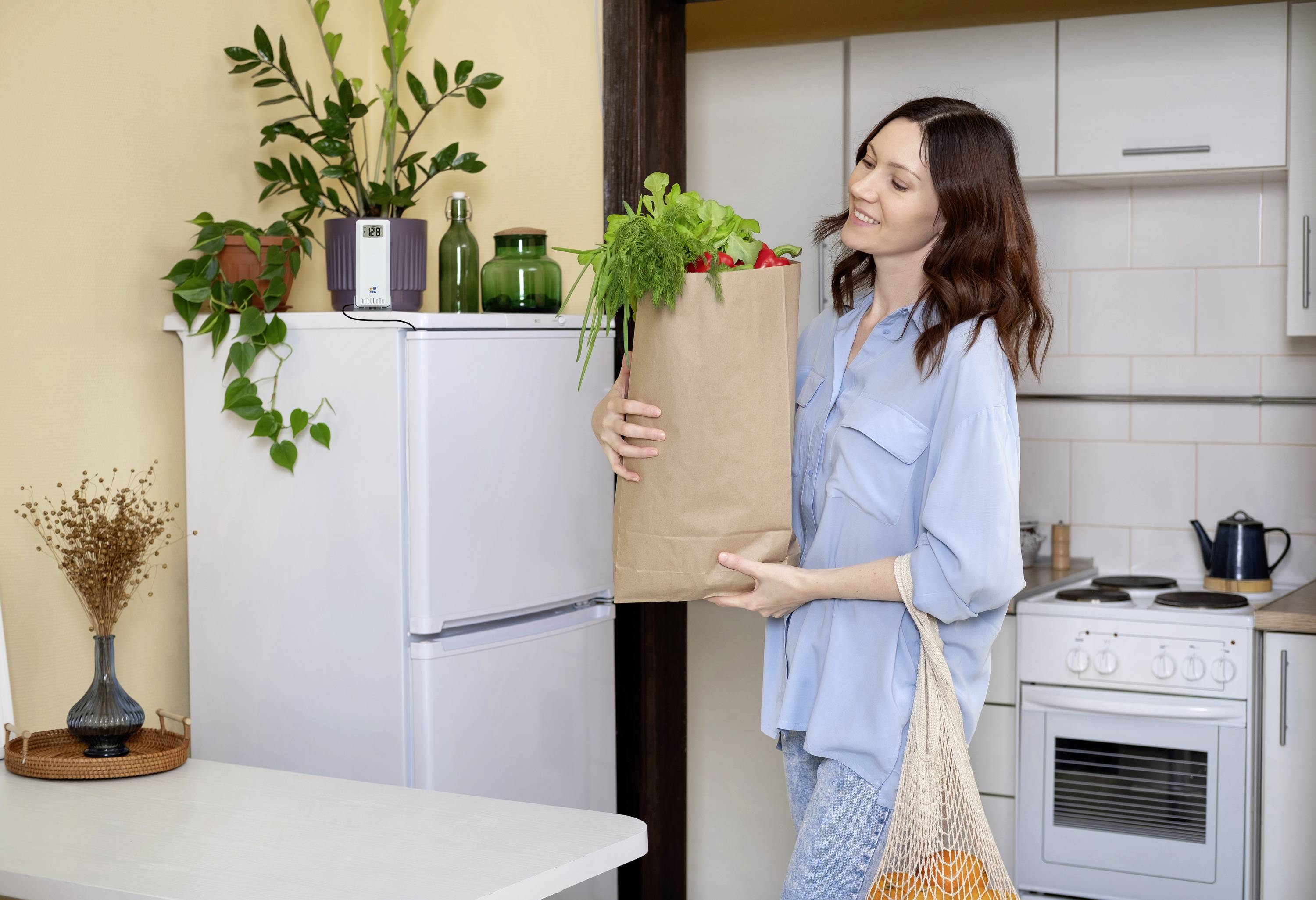 TFA Dostmann 30.3902.02 Temperatursender ID-A3 Thermosensor Funk 868MHz