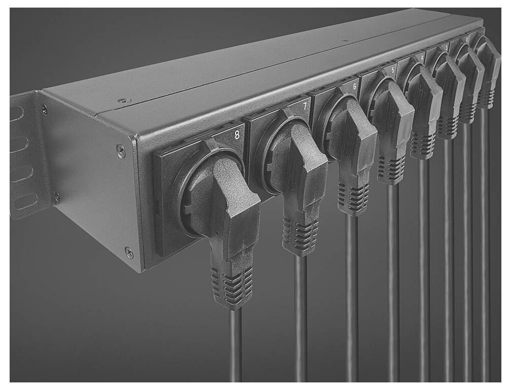 LINDY 73025 Steckdosenleiste 19 Zoll Schwarz Kaltgerätestecker 1St.