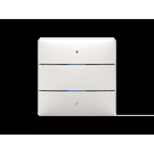 Theben 4969232 Tastsensor iON 102 KNX Theben 4969232 Tastsensor iON 102 KNX