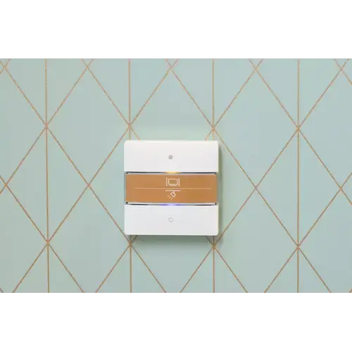 Theben 4969232 Tastsensor iON 102 KNX Theben 4969232 Tastsensor iON 102 KNX