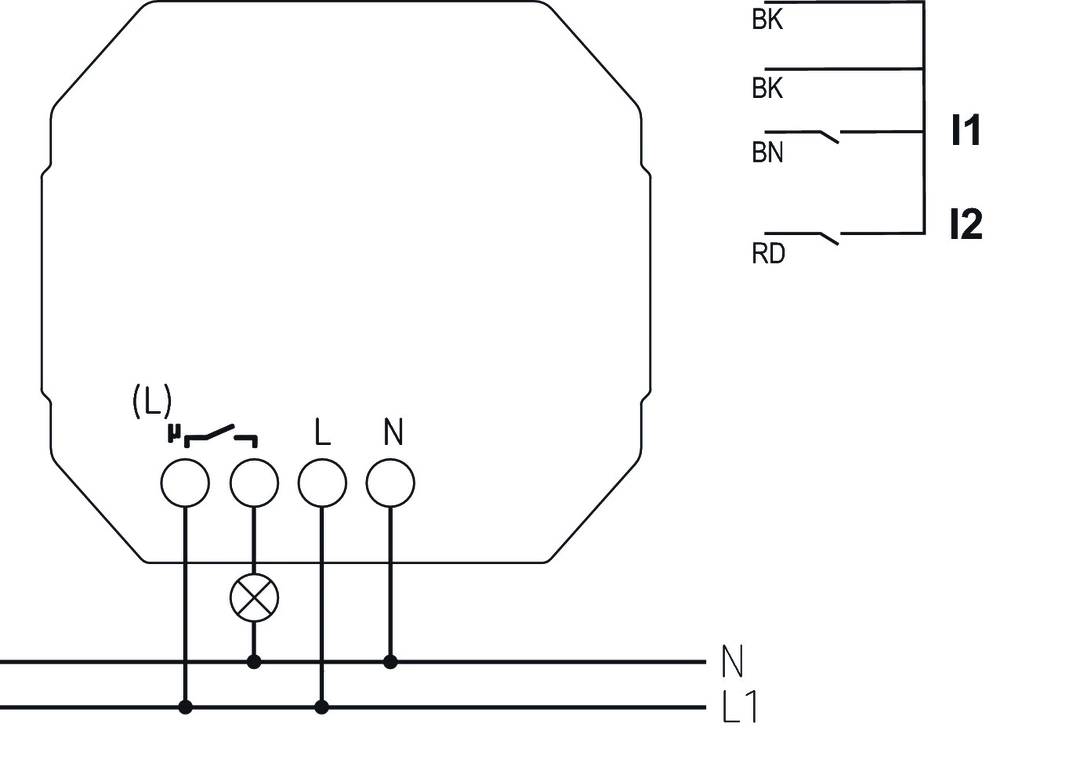 Ein technisches Diagramm zeigt die elektrische Verkabelung mit den Bezeichnungen: BK, BN, RD für Drähte und L, N für Anschlüsse.