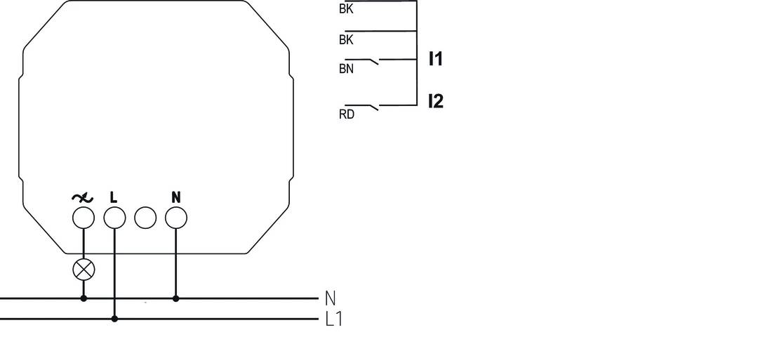 Der Schaltplan zeigt eine achteckige Form mit Anschlüssen BK, BN, RD zu I1 und I2 sowie N und L1 unten, kennzeichnet Stromkreisanordnung.