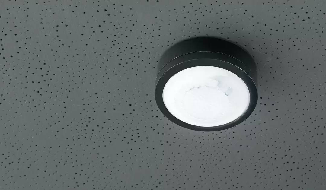 Theben 1030062 Präsenzmelder