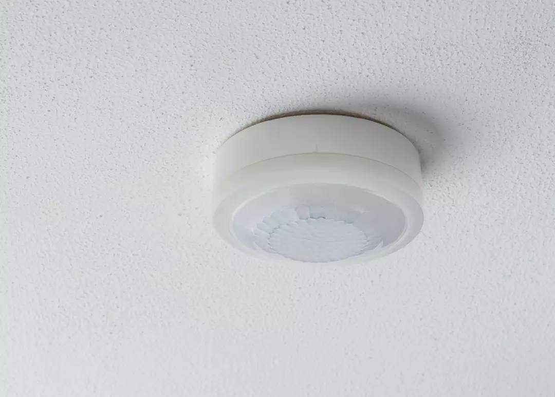 Theben 1030063 Präsenzmelder