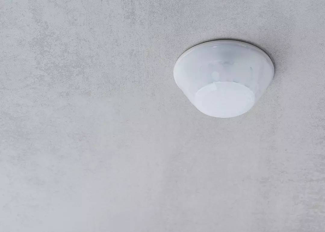 Theben 1030072 Präsenzmelder