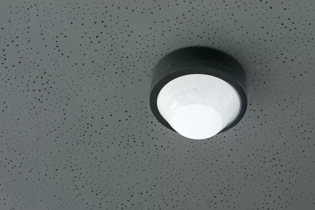 Theben 1030082 Präsenzmelder