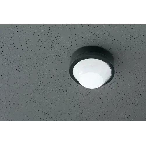 Theben 1030082 Präsenzmelder Theben 1030082 Präsenzmelder