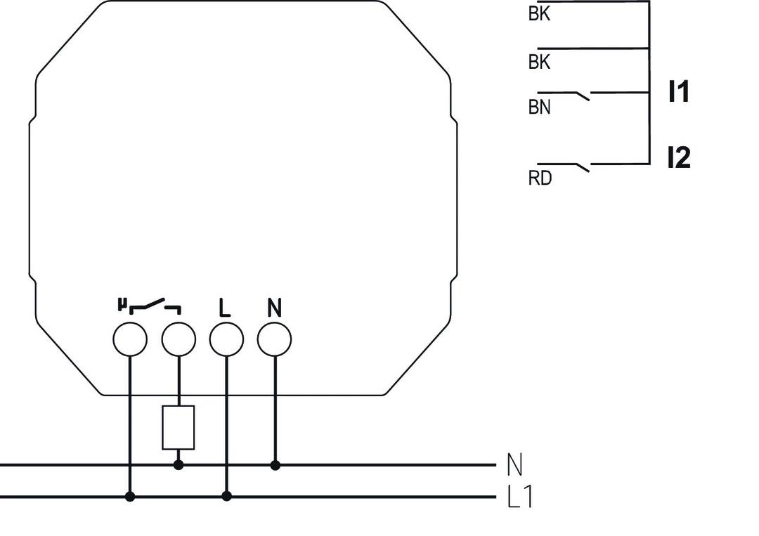 Schaltplan zeigt die elektrische Verdrahtung einer Komponente mit Anschlüssen L, N und Erdung, sowie farbcodierten Leitungen BK, BN, RD.