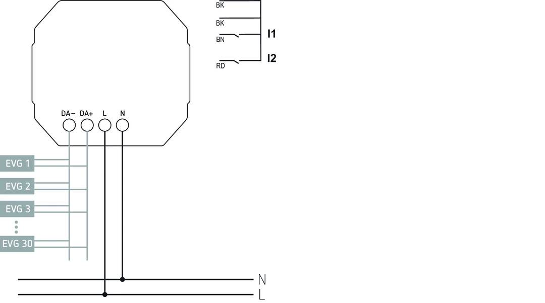 Schaltschema eines Elektromotors mit zwei Eingängen (I1, I2) und Farbcodierung BK (schwarz), BN (braun), RD (rot), N und L.