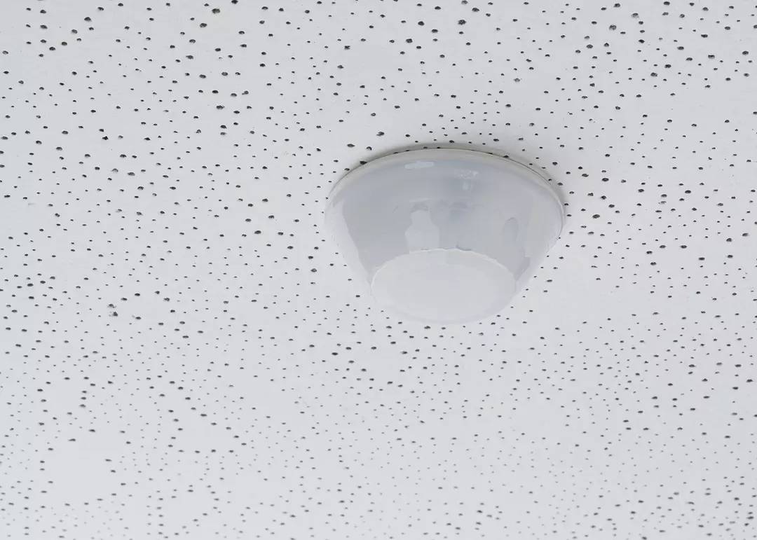 Theben 1030076 Präsenzmelder