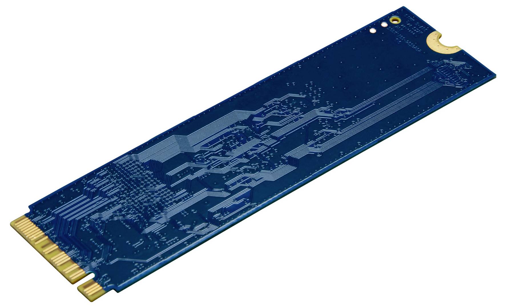 Eine blaue M.2-SSD-Karte mit goldenen Anschlüssen, die für Computer-Datenspeicher verwendet wird.