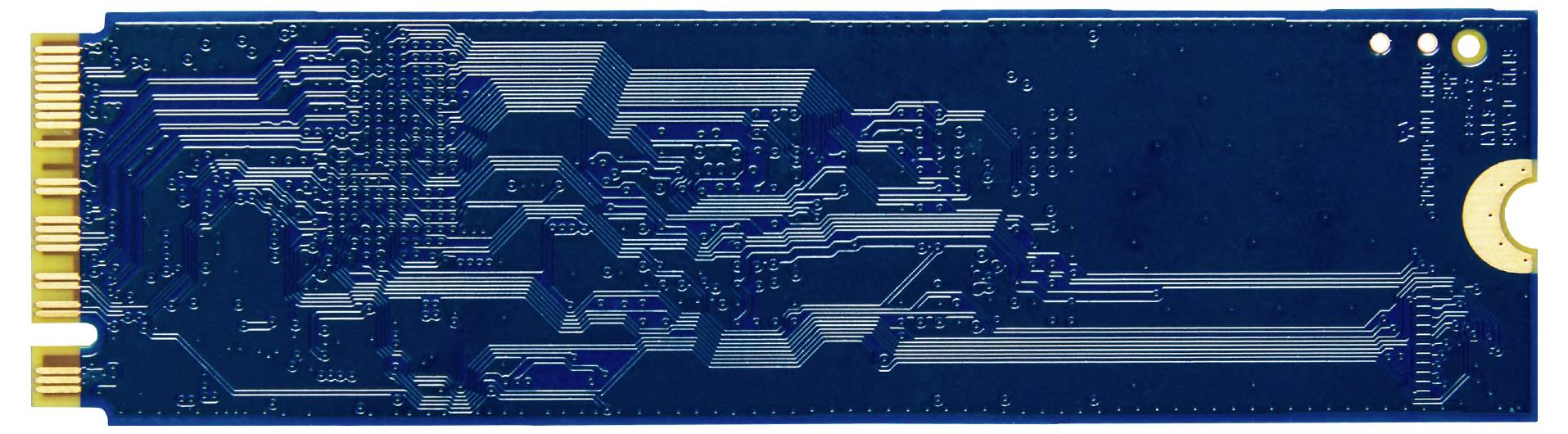 Eine blaue, leere SSD-Platine mit goldenem Anschluss auf der linken Seite. Die Platine zeigt ein kompliziertes Muster elektronischer Schaltkreise.
