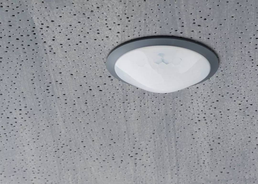 Theben 1030560 Bewegungsmelder