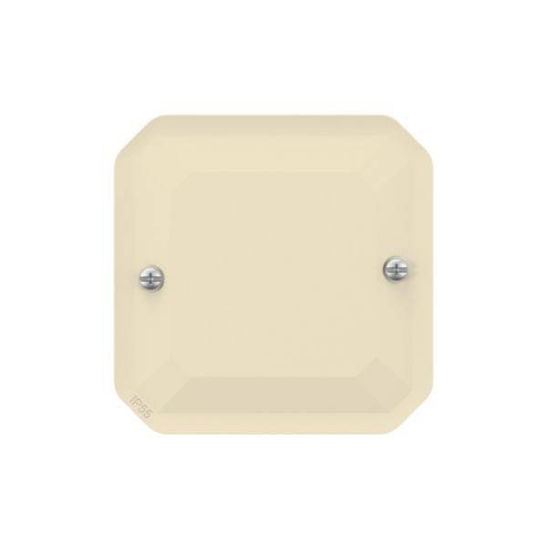 Legrand Blindabdeckung 069847L