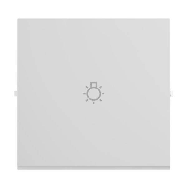 Legrand 765113 SEANO Wippe m.Symbol Licht in der Farbausführung Anthrazit