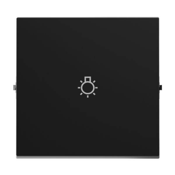 Legrand 765313 SEANO Wippe m.Symbol Licht in der Farbausführung sw lackiert