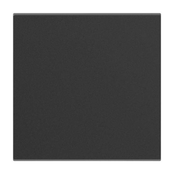 Legrand 765405 SEANO Wippe f.2pen Ausschalter in der Farbausführung