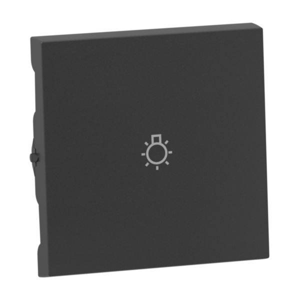 Legrand 765413 SEANO Wippe m.Symbol Licht in der Farbausführung Al lackiert