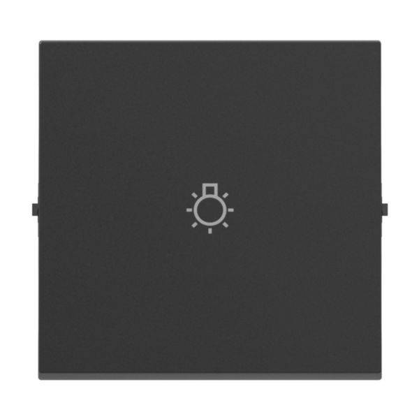 Legrand 765413 SEANO Wippe m.Symbol Licht in der Farbausführung Al lackiert