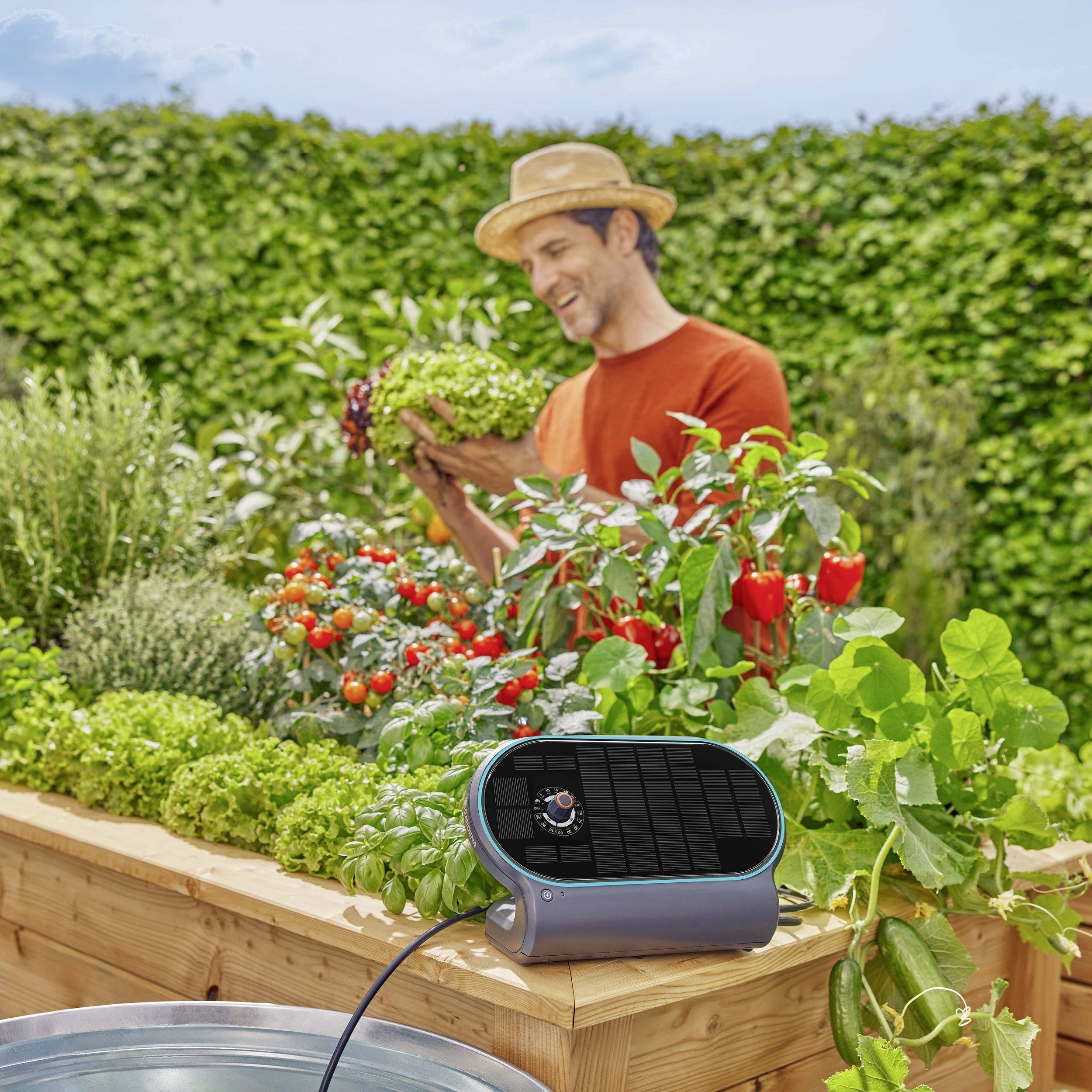 Ein Mann in einem Garten pflegt eine reiche Ernte aus Tomaten, Salat und Kräutern. Im Vordergrund ist ein Bewässerungssystem sichtbar.